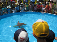 水フェスタ