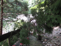 宇賀渓キャンプ場