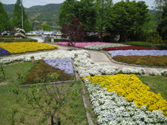 四季の森