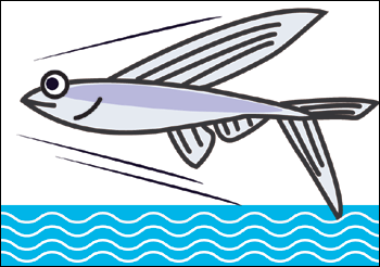 とび魚