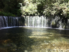 白糸の滝