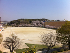 2011_04_13_01.jpg